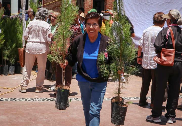 Donadas más de 100 mil plantas para impulsar la restauración ecológica en Hidalgo