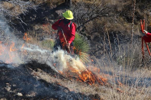 Dignifican labor de brigadistas de incendios forestales en Hidalgo