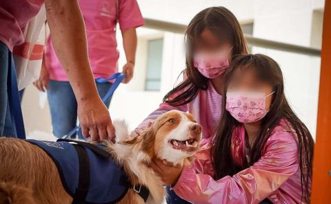 Hospital del Niño DIF Hidalgo, institución pionera en terapia canina