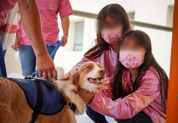 Hospital del Niño DIF Hidalgo, institución pionera en terapia canina