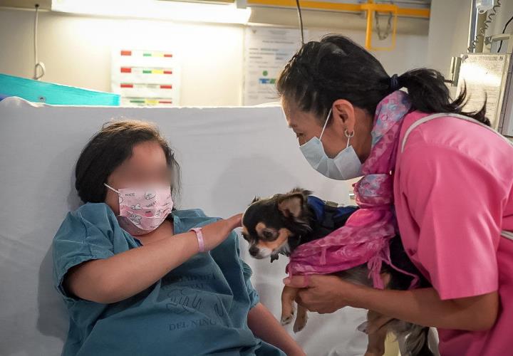 Hospital del Niño DIF Hidalgo, institución pionera en terapia canina