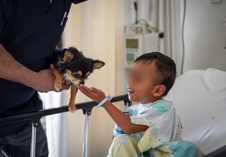 Hospital del Niño DIF Hidalgo, institución pionera en terapia canina