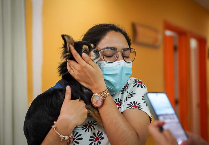 Hospital del Niño DIF Hidalgo, institución pionera en terapia canina