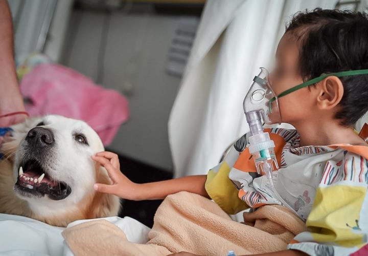 Hospital del Niño DIF Hidalgo, institución pionera en terapia canina