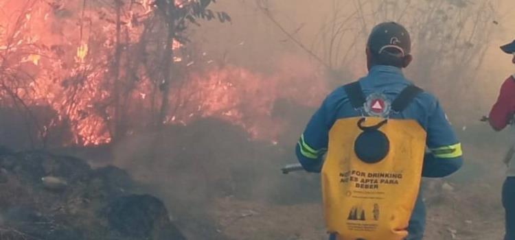 Vaticinan terribles incendios en 2024