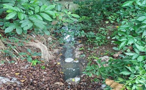 Desagüe de aguas negras en arroyo; foco rojo 
