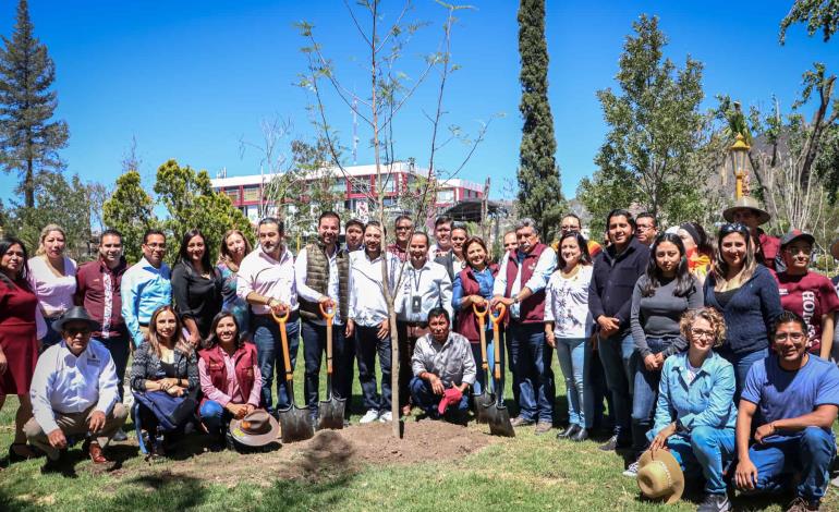 Plantan Árbol de Fuego en jardín de la capital hidalguense