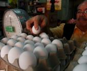 Alza al precio del huevo hasta $70