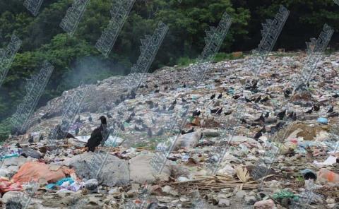 Urge tratamiento para el basurero en Jaltocán
