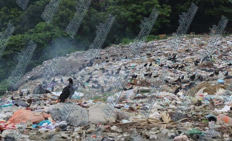 Urge tratamiento para el basurero en Jaltocán