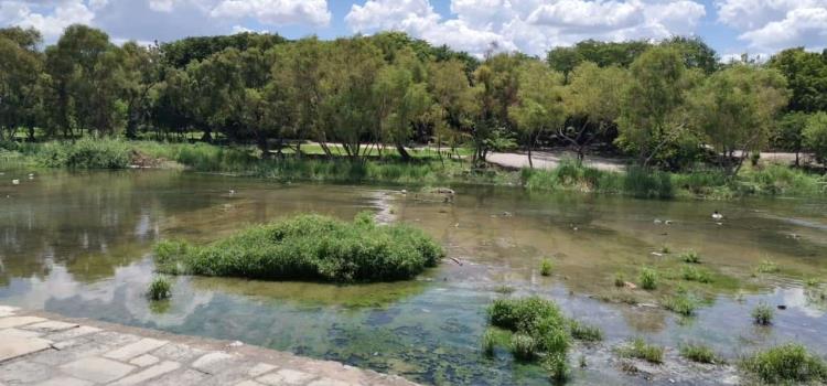 Revive el río Valles