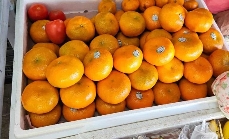 Comercian mandarina peruana  