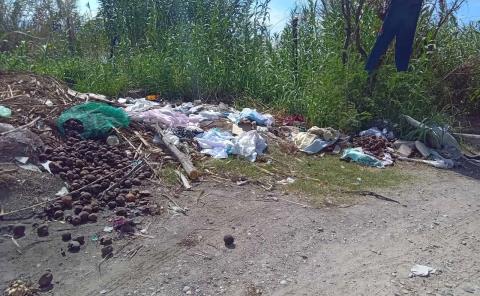 Abundan tiraderos ilegales de basura