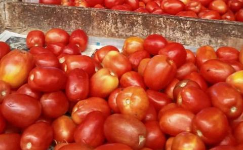 Papa y tomate subieron al 70%