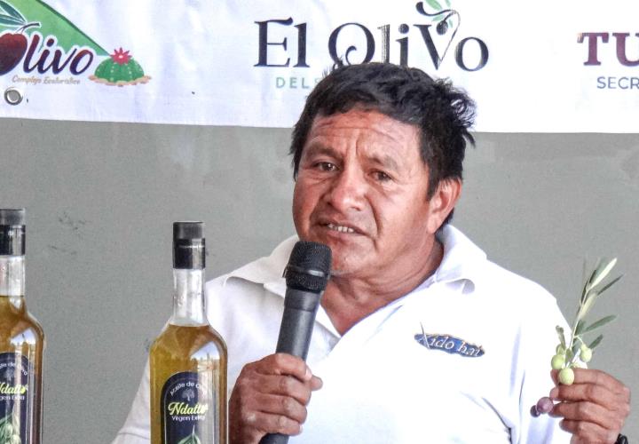 Impulsarán el desarrollo de productores hidalguenses en Expo Oliva 2023