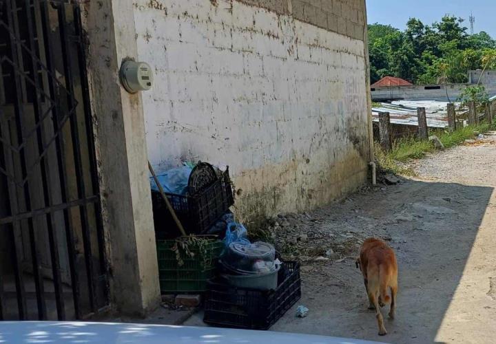 Basura genera mal aspecto; no pasa el camión 