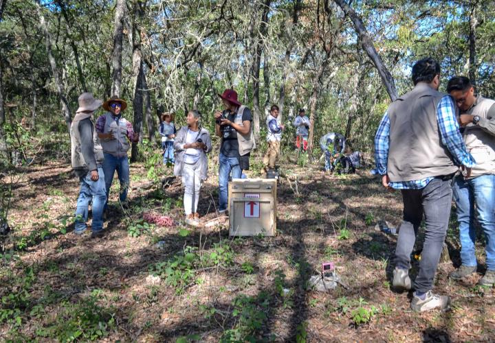 Llevarán a cabo monitoreo biológico de tigrillo liberado en "Los Mármoles"