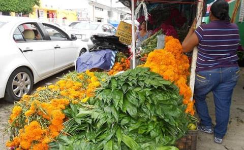 112 vendedores de palmilla y flor de cempasúchil llegarán 
