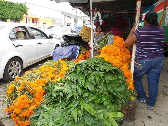 112 vendedores de palmilla y flor de cempasúchil llegarán 