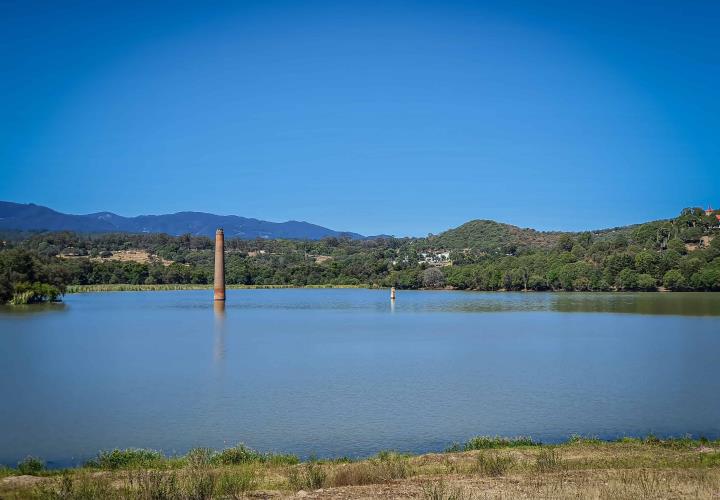 Retiran más de 13 hectáreas de lirio acuático en presa San Antonio Regla