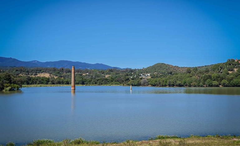 Retiran más de 13 hectáreas de lirio acuático en presa San Antonio Regla