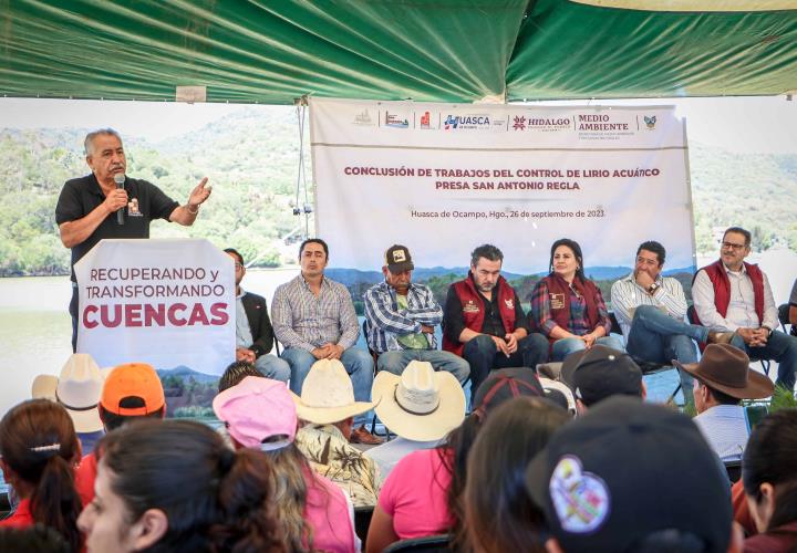 Retiran más de 13 hectáreas de lirio acuático en presa San Antonio Regla