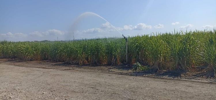 Nada para el saqueo al río