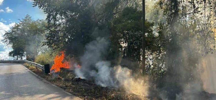 Exhortan prevenir incendios forestales 