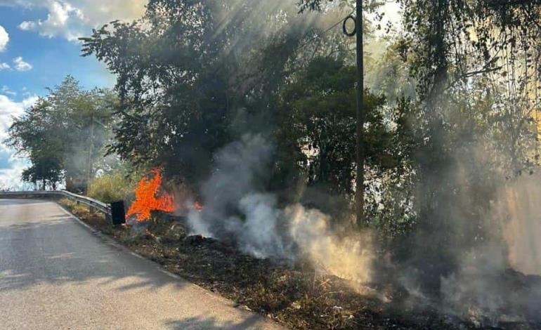 Exhortan prevenir incendios forestales 