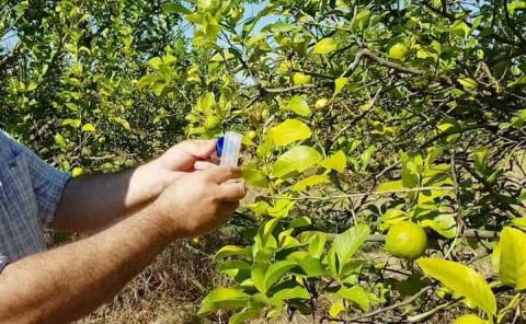 Riesgos sanitarios  en agroalimentos