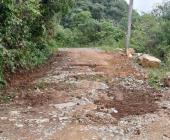 Pobladores se unen para reparar carretera