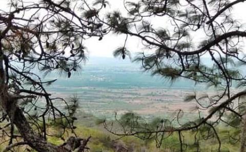 Dañan con basura y  tala área protegida