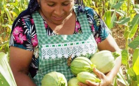 Destacan el Día de  las Mujeres Rurales