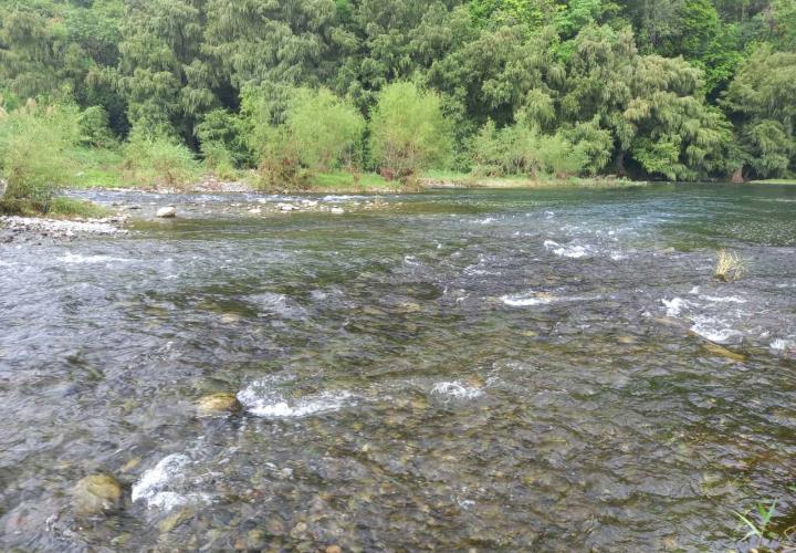 Localizaron hombre sin vida en el río Claro