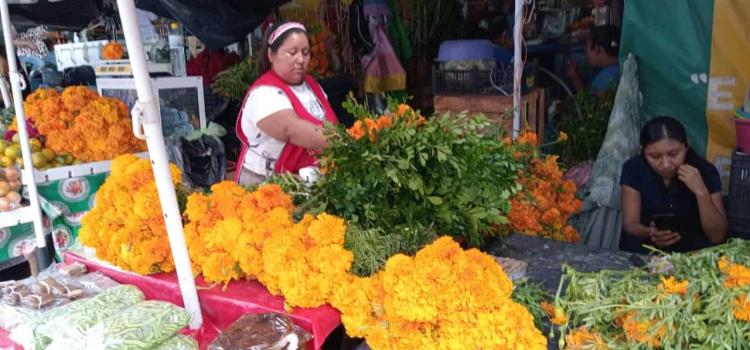 Hasta $1,000 el altar de muerto