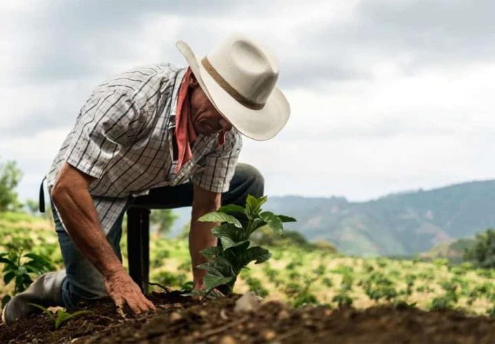 Pintan un 2024 gris para el sector agro