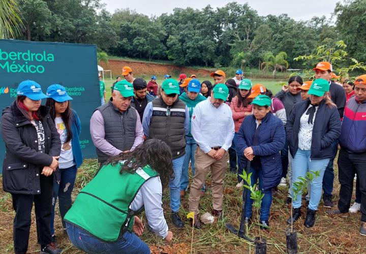 Arrancan actividades de reforestación en el ITST