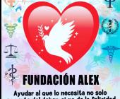 Fundación Alex pide a la población donar juguetes