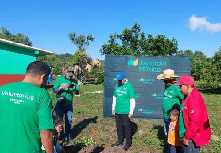 Realizó IBERDROLA una intensa jornada de reforestación. 