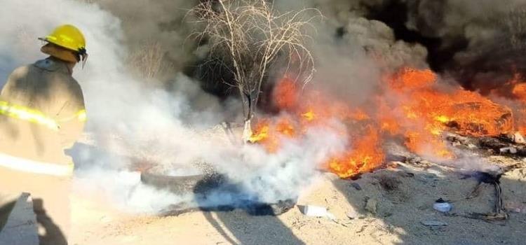 Sofocaron incendio de maleza y basura