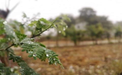 Ausencia de lluvias es desde el 2018