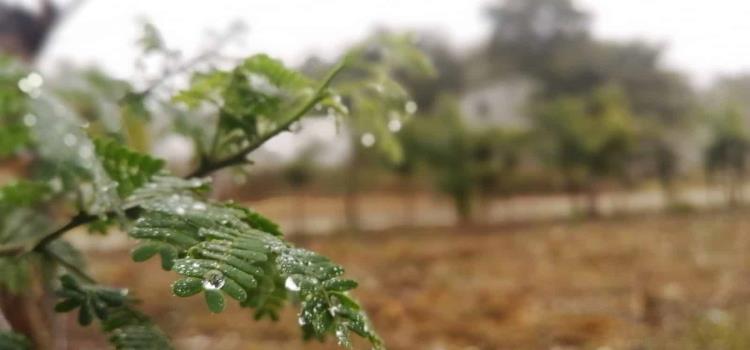 Ausencia de lluvias es desde el 2018