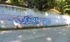 Grafitearon barda de primaria en San Miguel