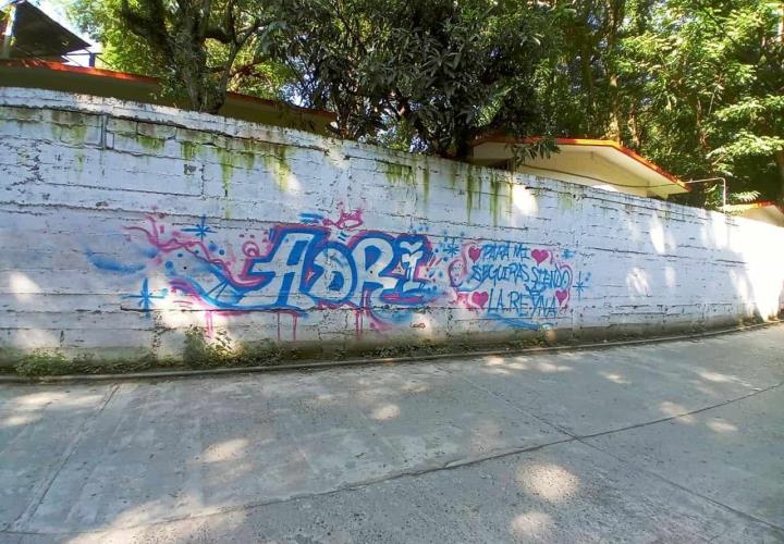 Grafitearon barda de primaria en San Miguel