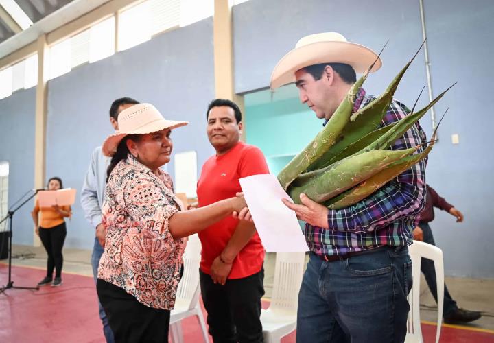Promueve Saderh producción de maguey pulquero en Hidalgo