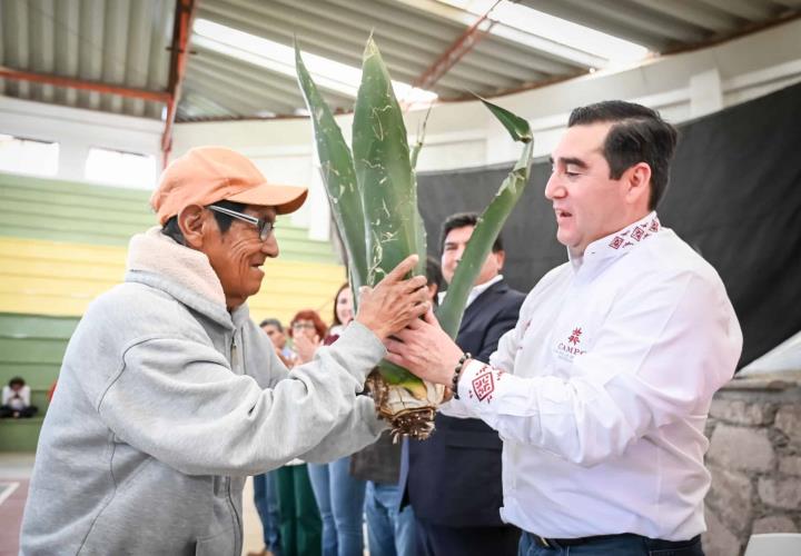 Promueve Saderh producción de maguey pulquero en Hidalgo