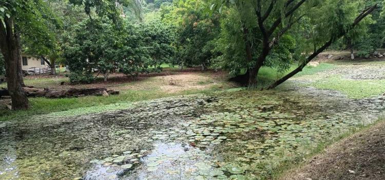 80 parajes contaminados