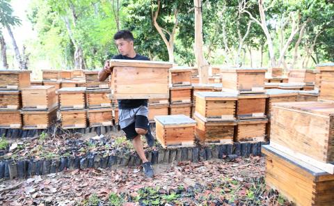 Impulsa Saderh producción de miel orgánica en Hidalgo