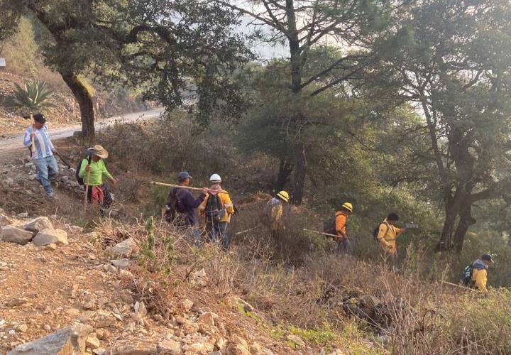 Gobierno de Hidalgo emprendió acciones oportunas para combatir incendio forestal en Los Mármoles