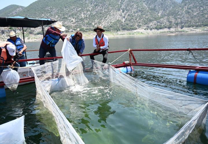 Supera Saderh metas en sector piscícola de Hidalgo